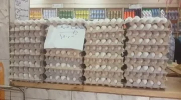 تطورات جديدة في أسعار البيض بالقليوبية بعد وصول الطبق الأبيض لنحو 126 جنيهاً